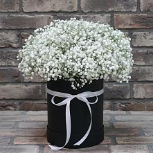 Цветочная композиция из Гипсофила в шляпной коробке в Новоуткинске